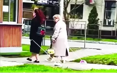 يتنزهون مع الأدوات الكهربائية بدلا من