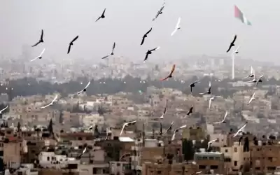 طقس معتدل الى دافئ حتى الخميس
