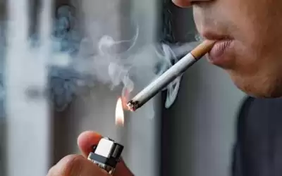 شركة دخان: لا علاقة للحكومة بقرار