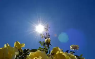 أجواء جافة مغبرة وحارة في أغلب