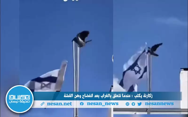 زكارنة يكتب : عندما نتعلق بالغراب