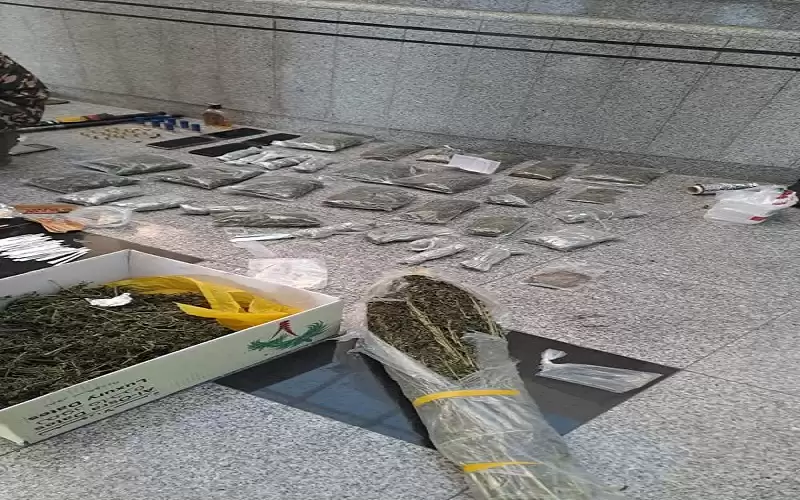 الجمارك: ضبط مركبة بداخلها سلاح ناري