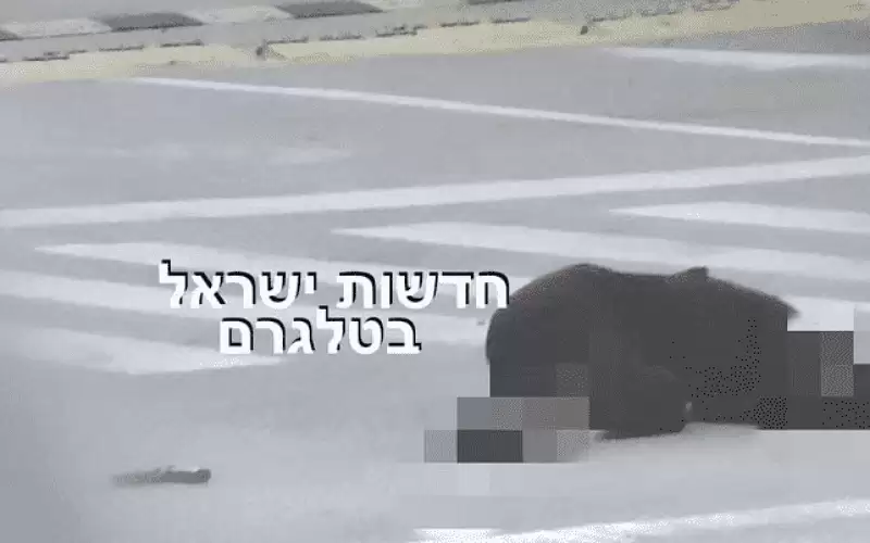 ظنوا أنها فلسطينية.. مقتل مجندة برصاص