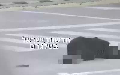 ظنوا أنها فلسطينية.. مقتل مجندة برصاص