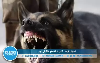 إصابات بليغة .. كلاب ضالة تعقر