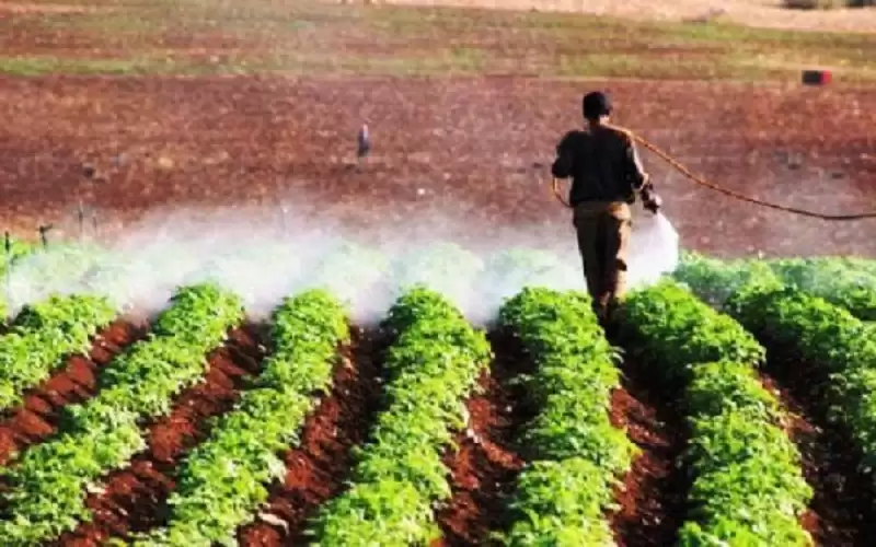 إعفاء 75% من رسوم السلع الزراعية