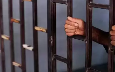 تغليظ عقوبات 4 سارقين بالسجن حتى