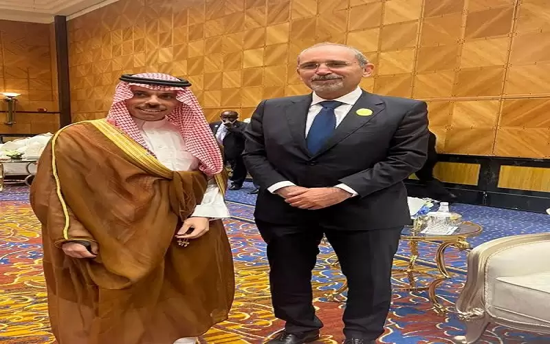 الصفدي يعقد لقاءات تشاورية مع عدد