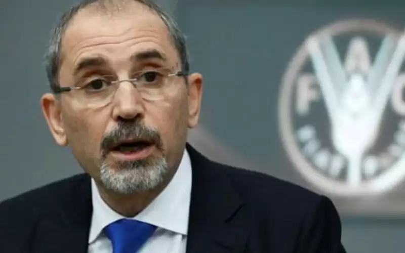 الصفدي: نتعامل مع تهديد المخدرات بما