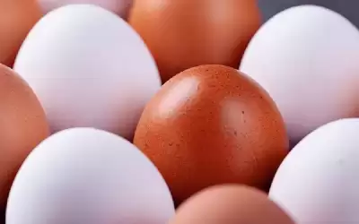 هل البيض البني أفضل للصحة من