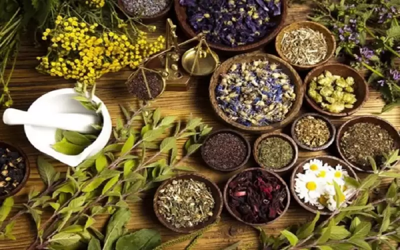 أعشاب وتوابل تمنع لدغات البعوض في