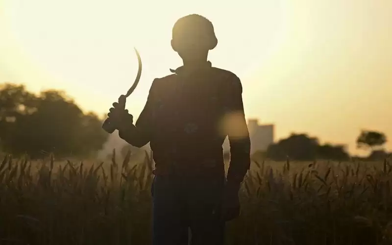 مصاروة: انفجار سكاني بنسبة الأطفال في