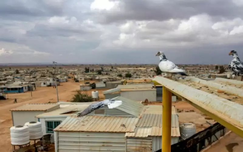 وزير الخارجية: الأردن تجاوز طاقته الاستيعابية