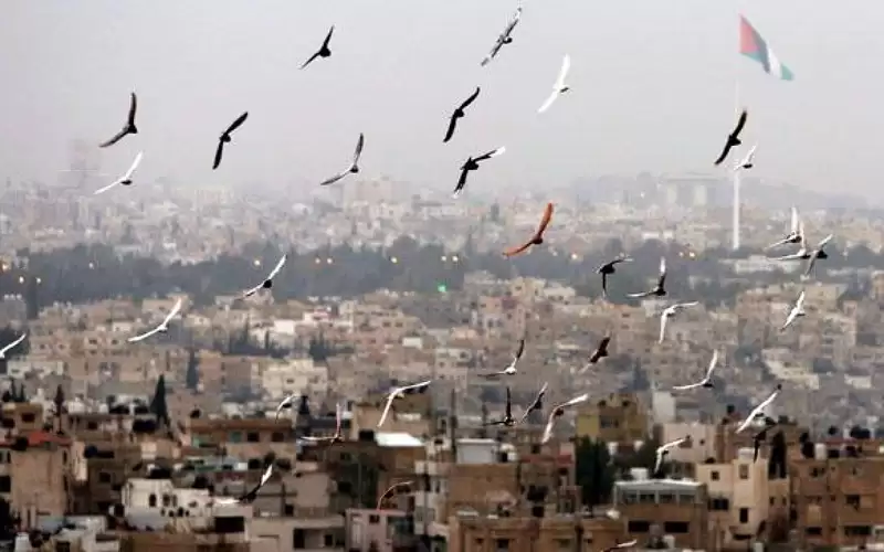 الأردن.. انخفاض على الحرارة وأجواء معتدلة