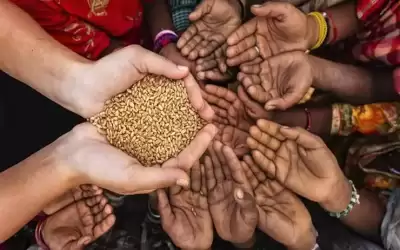 الحكومة: الأمن الغذائي الأردني الأعلى تصنيفا