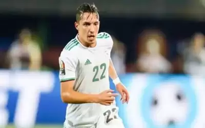 من فرنسا .. بلماضي يصطاد بديل
