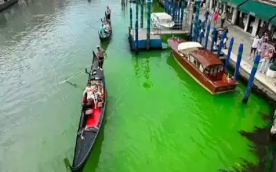 سائل أخضر غامض يغزو مياه البندقية