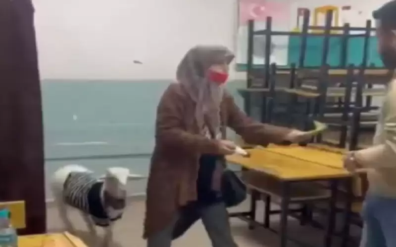 خروف يرافق سيدة تركية خلال الإدلاء