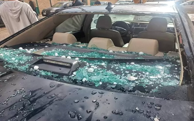 عقب البرد.. إقبال غير مسبوق على