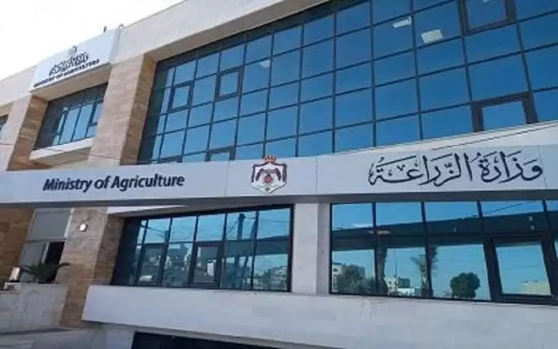 توجه حكومي لتشكيل لجان لحصر أضرار