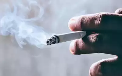 الأعلى للسكان: 41% نسبة المدخنين في