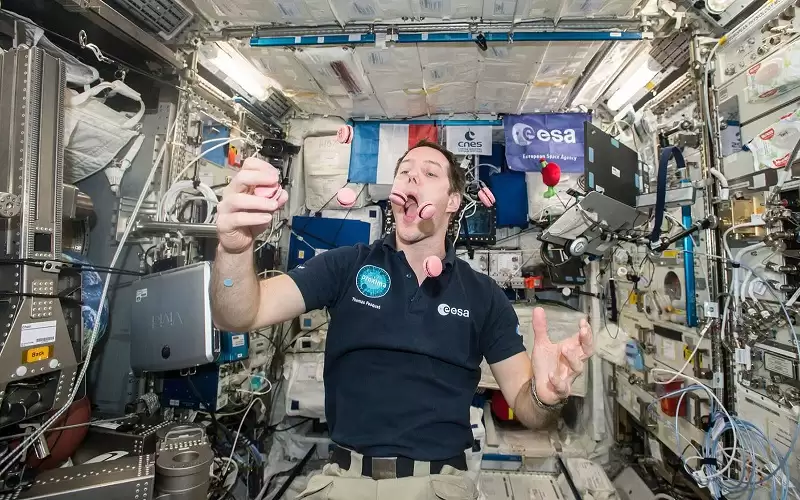 اتجاه جديد في إعداد قائمة طعام