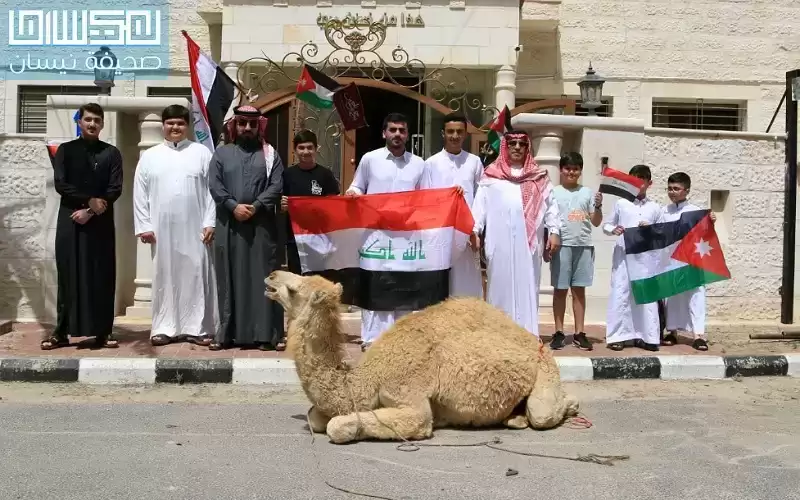 بالصور.. الكبيسي ينحر جملا احتفالا بزفاف
