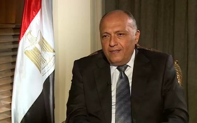 مصر تشارك في مراسم تنصيب أردوغان