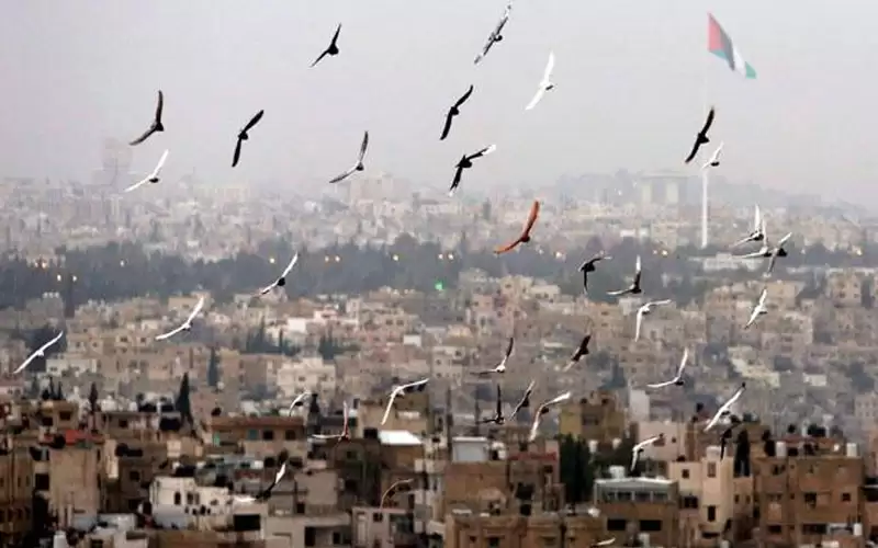 أجواء معتدلة الثلاثاء والاربعاء