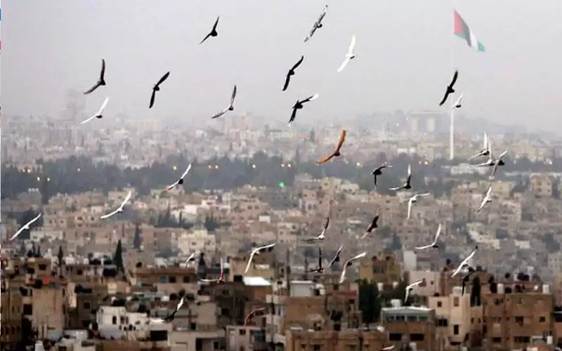 أجواء معتدلة الحرارة في معظم المناطق