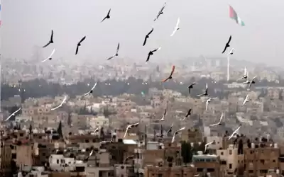 أجواء معتدلة الحرارة في معظم المناطق