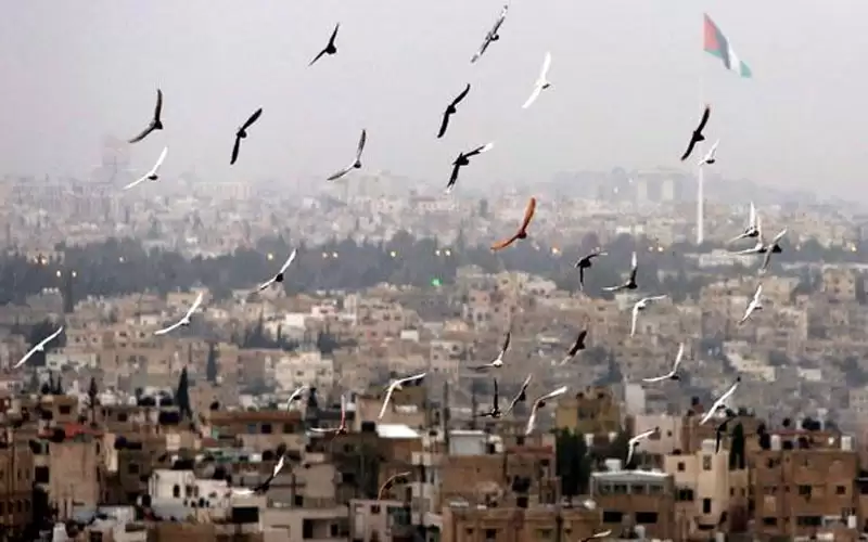 الحرارة أعلى من معدلاتها نهارا وأمطار