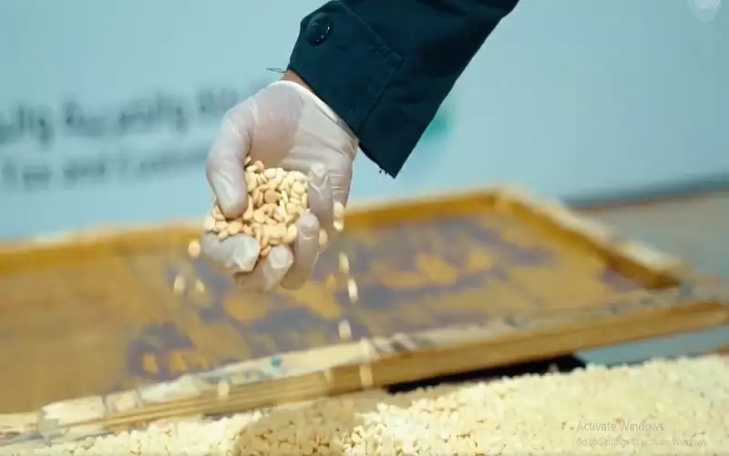 السعودية تضبط أكثر من 450 ألف