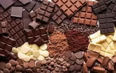 لماذا نجد صعوبة في مقاومة الشوكولاتة