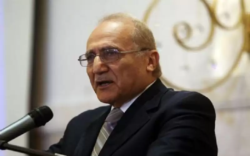 العناني: حكومتنا الأغنى بالعالم .. ويعارض