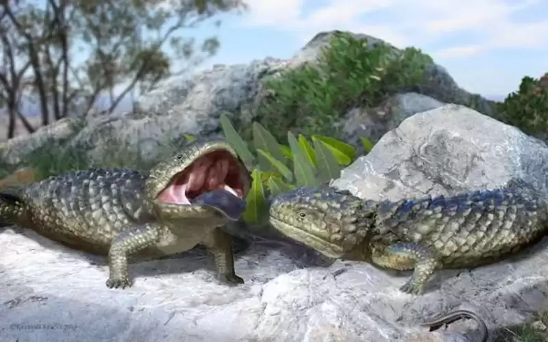 العثور على هيكل أحفوري لـ أغرب