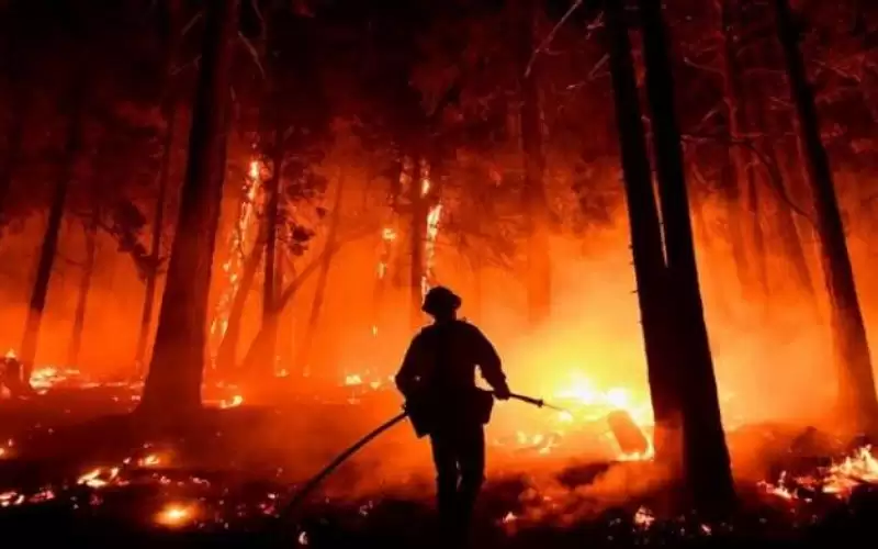 112 حريقا في الأردن الخميس