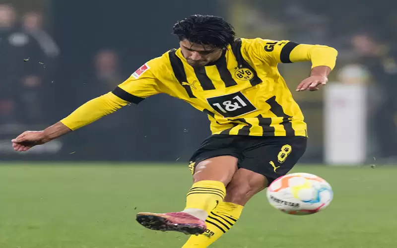 برايتون يضم محمود داود قادما من