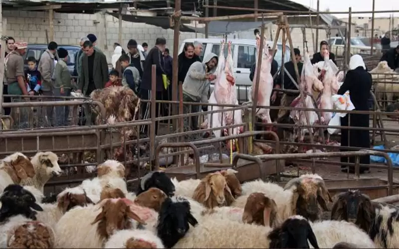 الإدارة المحلية تطلب من البلديات التقيد