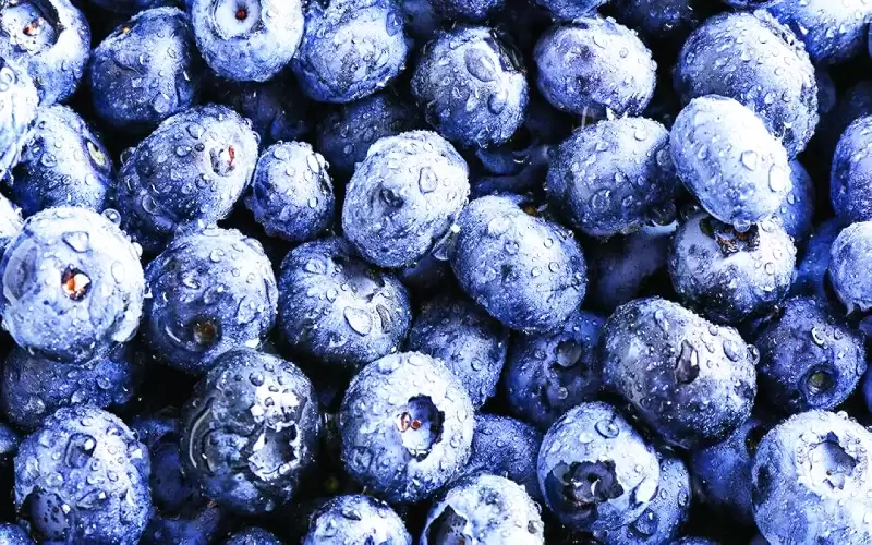 التوت الأزرق يقي من أضرار أشعة