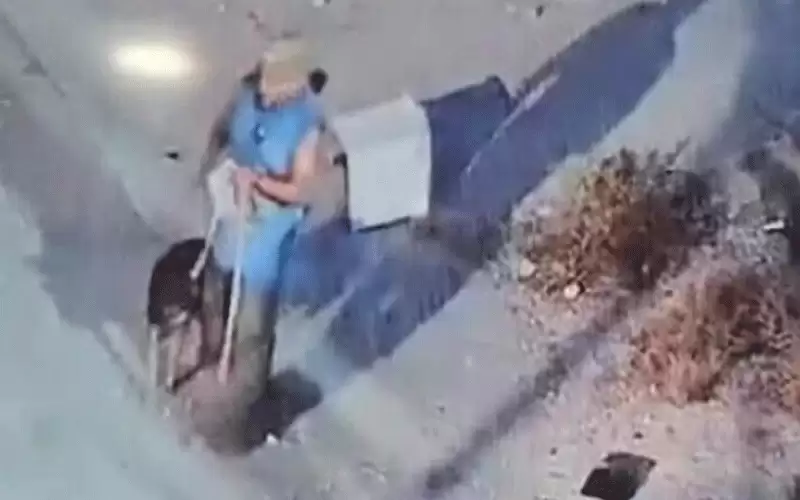 مستوطنون يمزقون القرآن ويدخلون المسجد بالكلاب