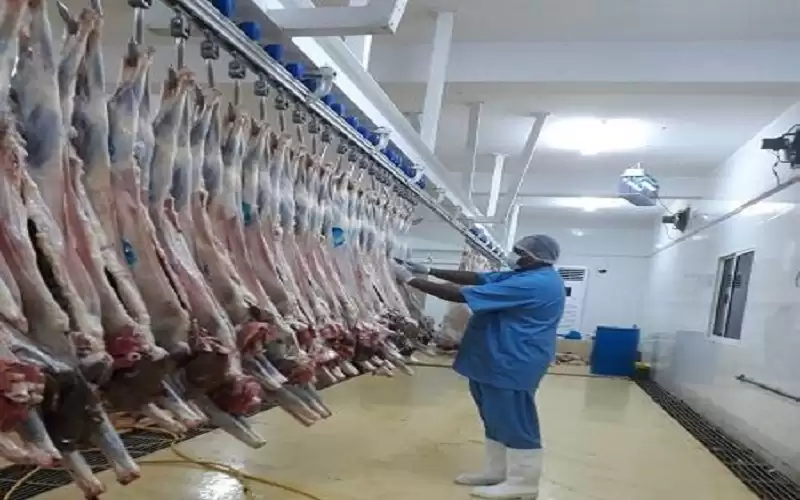 تفاصيل دوام السوق المركزي والمسالخ والمتنزهات