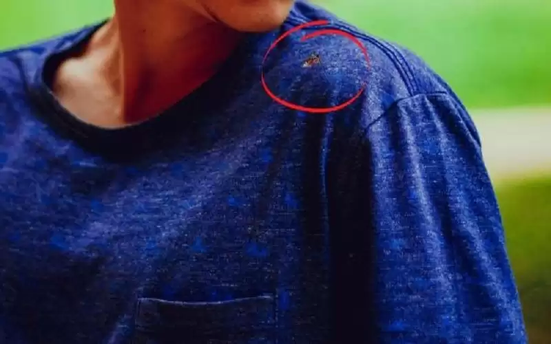 الملابس الداكنة تجذب البعوض