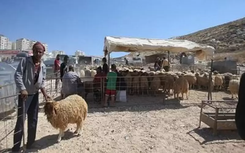 حماية المستهلك تدعو للالتزام بأماكن الذبح