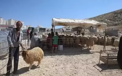 حماية المستهلك تدعو للالتزام بأماكن الذبح