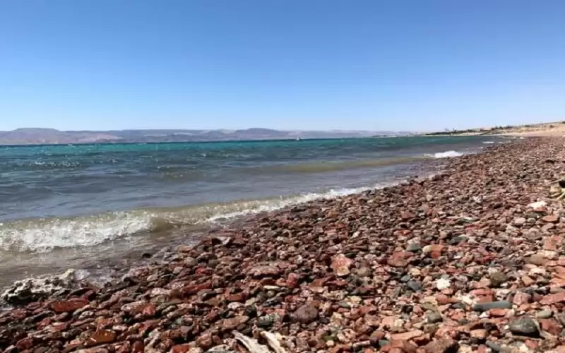 الفايز: القاء النفايات على شواطئ العقبة