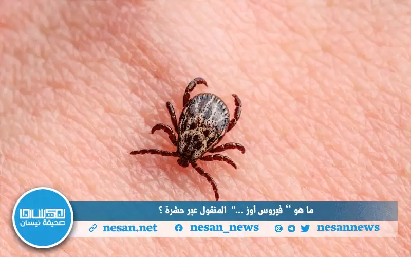 بعد وفاة أول حالة في اليابان..