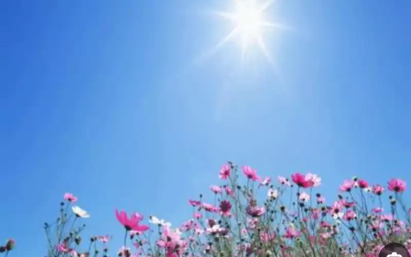 أجواء صيفية معتدلة الحرارة في المرتفعات