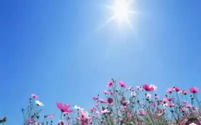 أجواء صيفية معتدلة الحرارة في المرتفعات