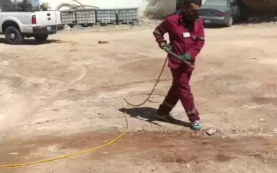الامانة ترش وتعقيم مواقع حظائر الاضاحي